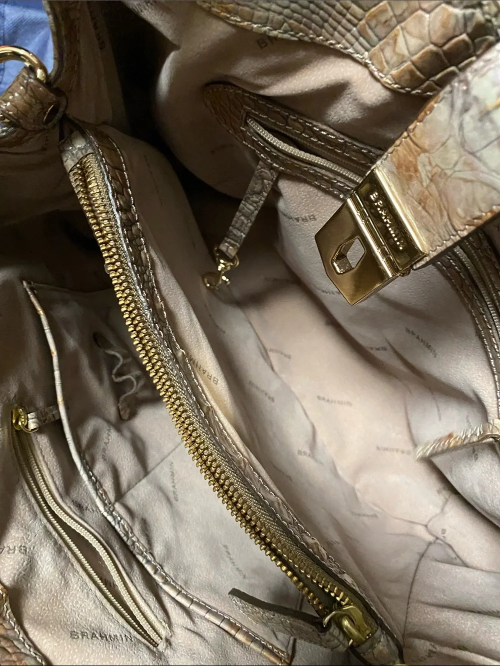 Brahmin Elisa satchel